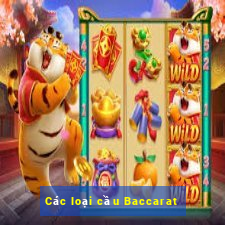 Các loại cầu Baccarat