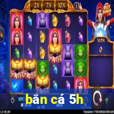 bắn cá 5h