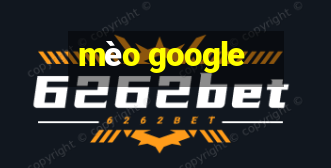 mèo google