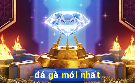 đá gà mới nhất