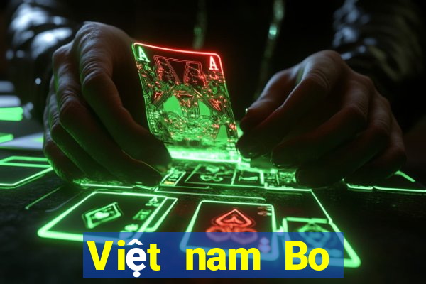 Việt nam Bo giải trí