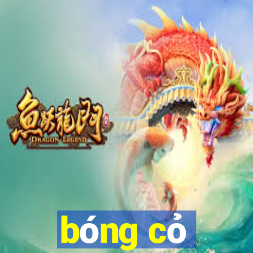 bóng cỏ