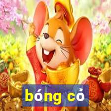 bóng cỏ