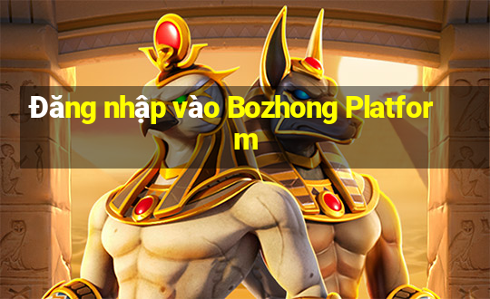 Đăng nhập vào Bozhong Platform