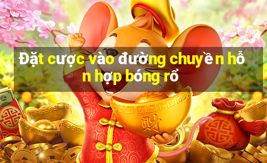 Đặt cược vào đường chuyền hỗn hợp bóng rổ