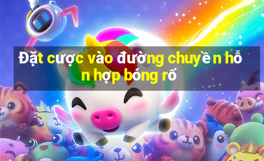 Đặt cược vào đường chuyền hỗn hợp bóng rổ