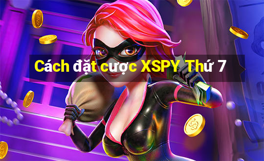 Cách đặt cược XSPY Thứ 7