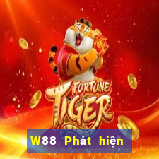 W88 Phát hiện đường dây Đại bàng đỏ