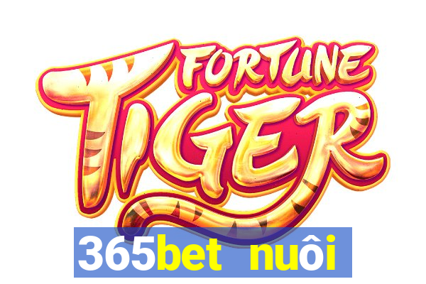 365bet nuôi dưỡng Châu Á