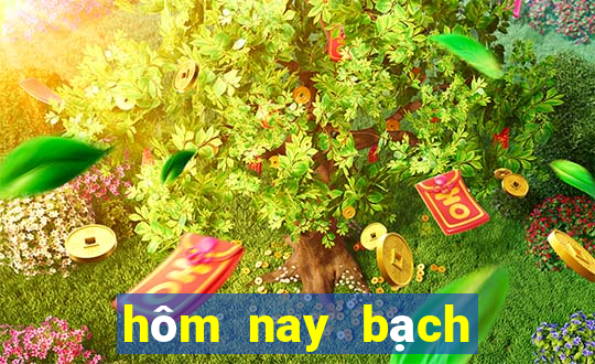 hôm nay bạch thủ đề con gì