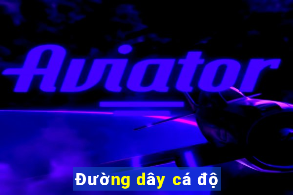 Đường dây cá độ