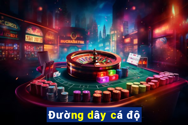 Đường dây cá độ