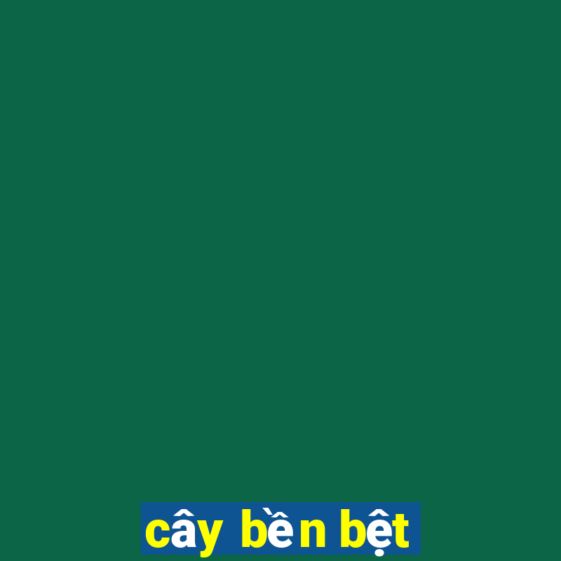 cây bền bệt