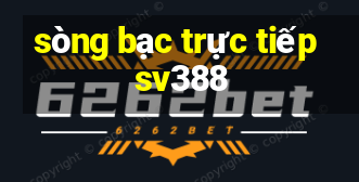 sòng bạc trực tiếp sv388