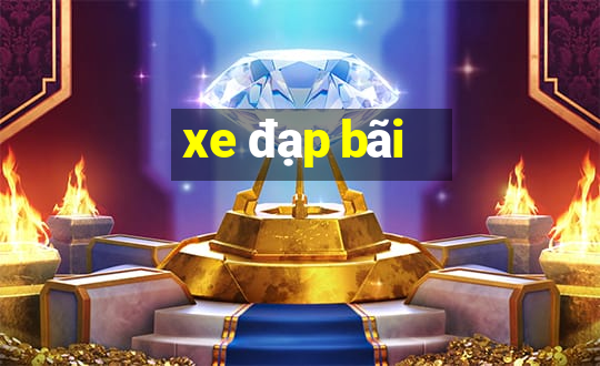 xe đạp bãi