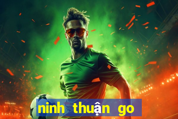 ninh thuận go tài xế