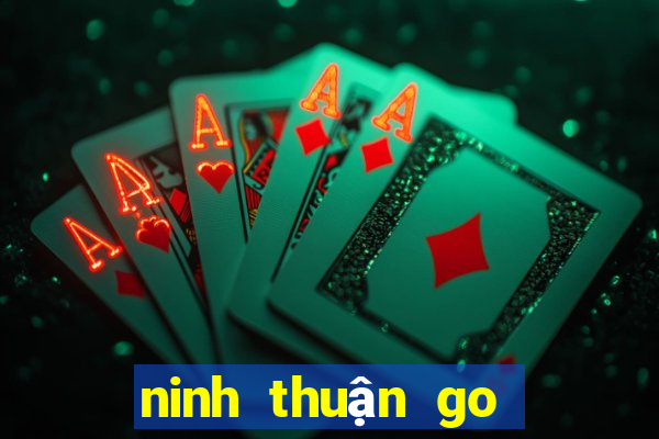 ninh thuận go tài xế