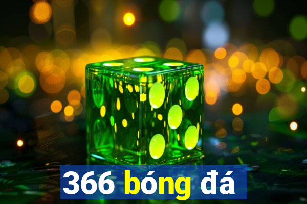 366 bóng đá