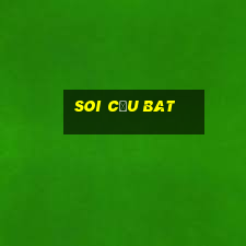 Soi Cầu Bat