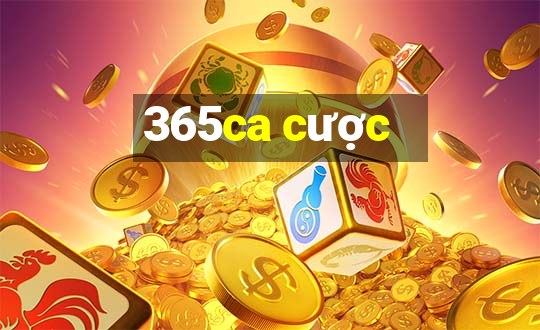 365ca cược