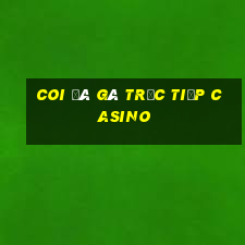 coi đá gà trực tiếp casino