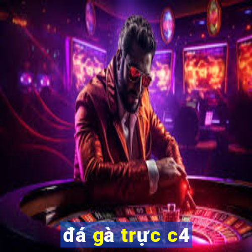 đá gà trực c4