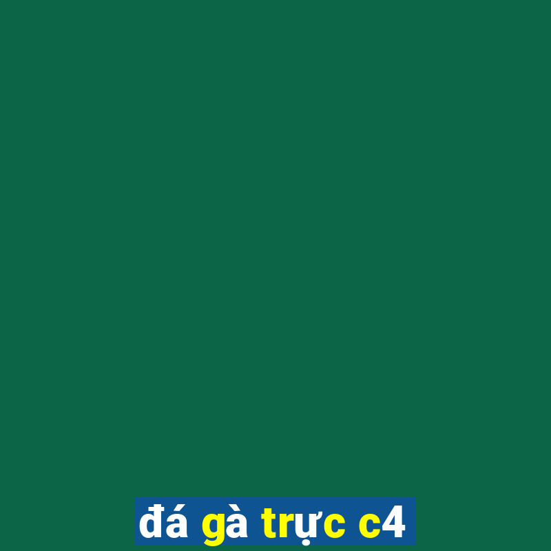 đá gà trực c4