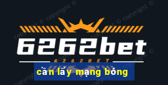 cần lấy mạng bóng