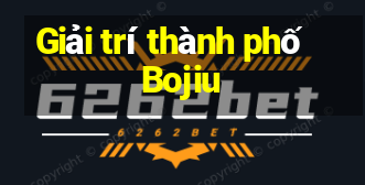 Giải trí thành phố Bojiu