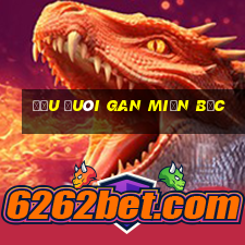 đầu đuôi gan miền bắc