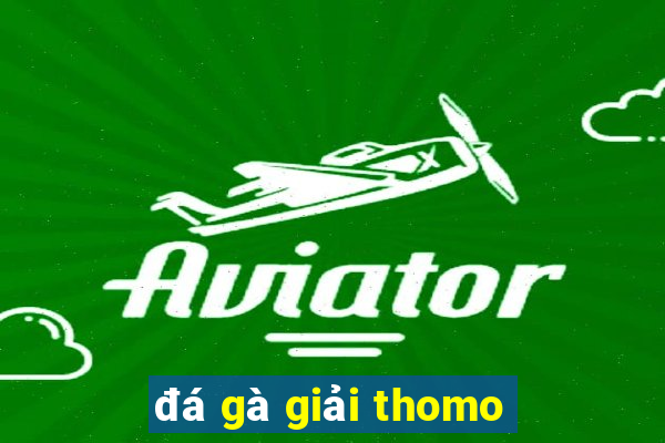 đá gà giải thomo