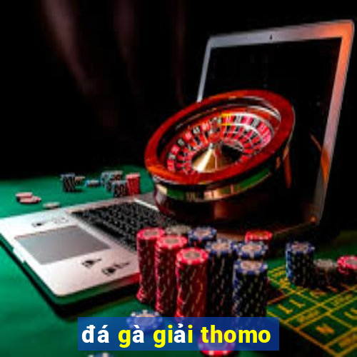 đá gà giải thomo