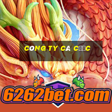 Công ty cá cược