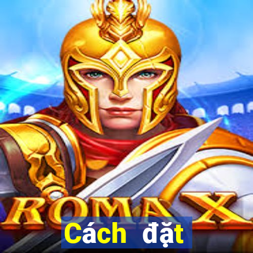 Cách đặt cược XSMN ngày 24