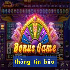 thông tin bão hôm nay