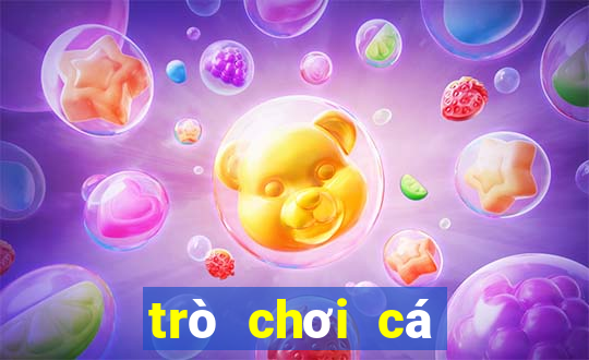 trò chơi cá mập miễn phí