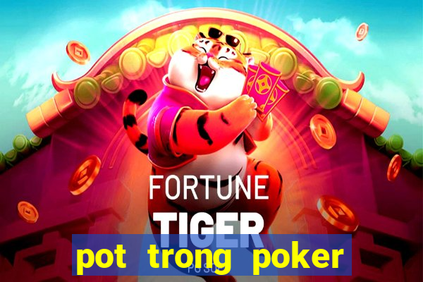 pot trong poker là gì