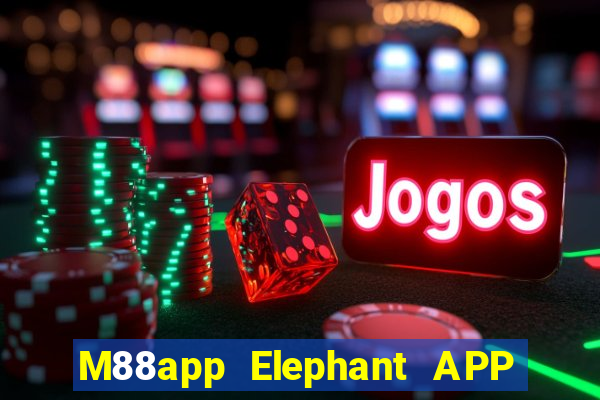 M88app Elephant APP Phiên bản mới Tải về