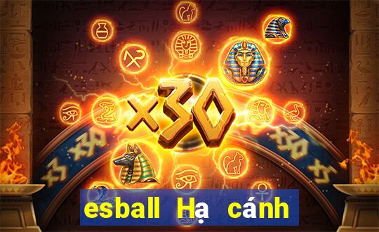 esball Hạ cánh tải về wed