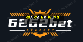 giá cá hô giống