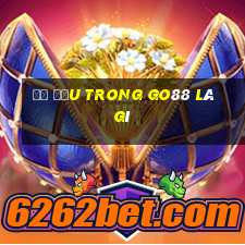 đề đầu trong go88 là gì