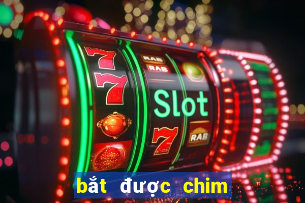 bắt được chim đánh con gì