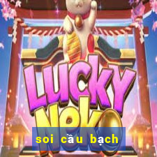 soi cầu bạch thủ bình định