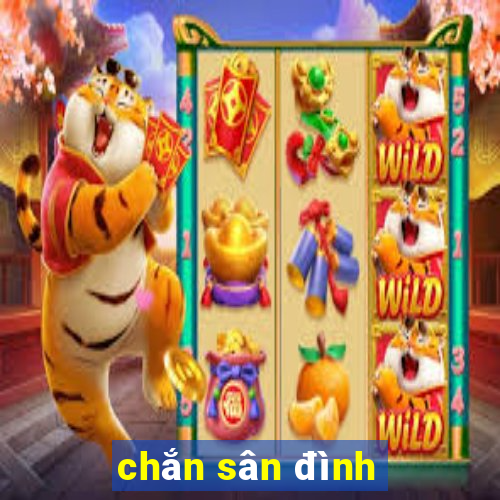 chắn sân đình