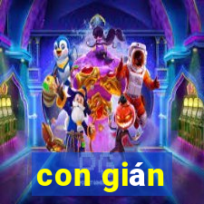 con gián