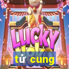 tử cung