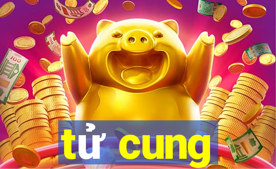 tử cung