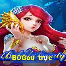 BOGou trực tuyến dòng