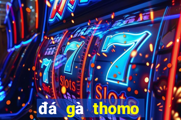 đá gà thomo trực tiếp hôm