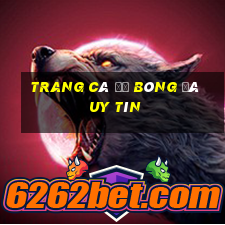 trang cá độ bóng đá uy tín